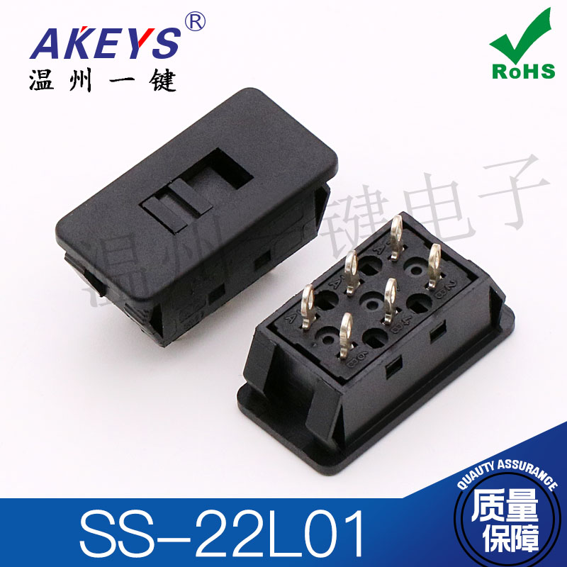Buckle Pin Ss - 10 stks originele nieuwe 6-pin 2-speed